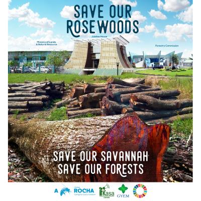 #SaveourRosewoods  2019, Ghana, Perk Pomeyie