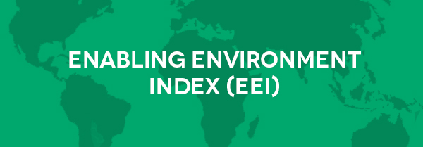 Enabling Environment INDEX (EEI)