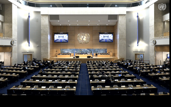 UN Must Investigate and End Reprisals, Travel Restrictions and Transnational Repression