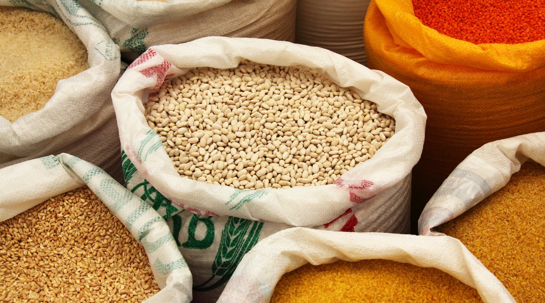 Reflections from the 2025 UN World Food Forum (WFF) in Rome