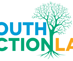 Four Practices to Strengthen Youth Activism