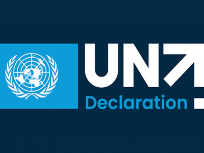 Fulfilling the UN75 Declaration Expert Series